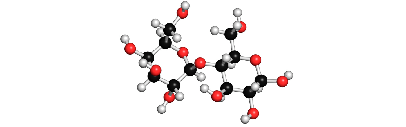 lactase supplementen kopen