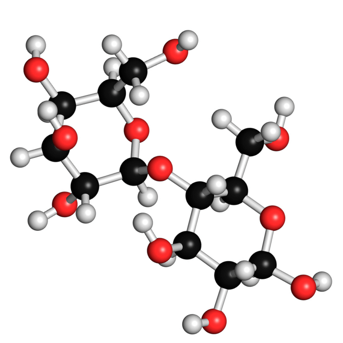 lactase supplementen kopen
