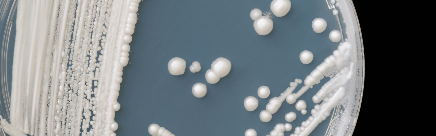 medicijnen schimmelinfectie